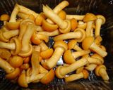 なめこの大根おろし作り方1写真