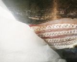真鯛一尾食べ尽くし　塩焼き　刺身　鍋作り方23写真