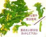 菜の花とベーコンの簡単ひたひた煮⭐春限定作り方2写真