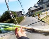 野菜栄養丸ごととる方法 ねぎ味噌胡桃あえ作り方1写真