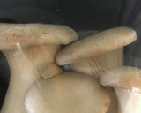 春キャベツと野菜とエリンギの炒め物！！作り方5写真