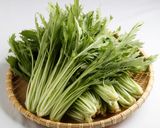 【野菜ソムリエ】京みず菜の辛子和え作り方5写真