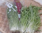 【野菜ソムリエ】京みず菜の簡単サラダ作り方5写真