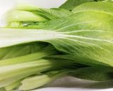 チンゲン菜とえのきの中華風和え作り方2写真