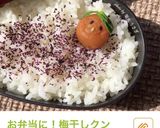 ☆ラディッシュ星人☆作り方14写真