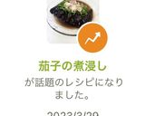 茄子の煮浸し作り方7写真
