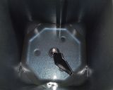 HBのタイマーでイースト臭くないパン　４作り方2写真