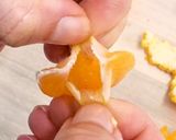 デコポンのドライフルーツ【食品乾燥機】作り方2写真