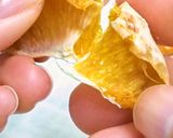デコポンのドライフルーツ【食品乾燥機】作り方8写真