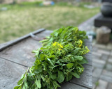 菜の花の炒め物【簡単で美味しい】作り方1写真