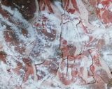 豚肉のタレたっぷり　香味ソース焼き　作り方2写真