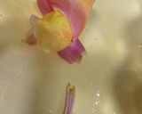 お花見パワーサラダ♪作り方3写真