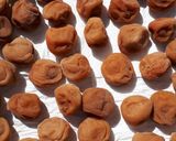 しょっぱい梅干しの作り方☆塩漬けの仕方作り方25写真