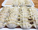 肉餃子と大葉入り肉餃子＊ホットプレート作り方5写真