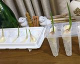 にんにくスプラウトでアヒージョ作り方3写真