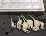 にんにくスプラウトでアヒージョ作り方4写真