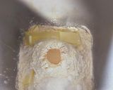 ホームベーカリーで焼くふっくら食パン作り方4写真