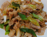 簡単！美味しい！豚バラと長ねぎの甘辛炒め作り方5写真