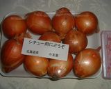 小鴨ママの小たまねぎグラタン。作り方1写真