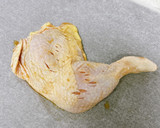 好きな鶏の部位で♪簡単ガイヤーン風焼き作り方5写真