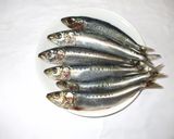 魚イワシの味噌炒め煮♪疲れやすい方に簡単作り方1写真