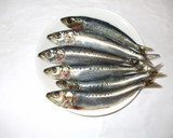魚イワシの味噌炒め煮♪疲れやすい方に簡単作り方1写真