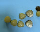 付け合わせのピクルスとミニトマト作り方1写真