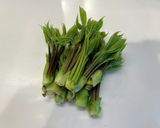 【春の味覚】コシアブラのペペロンチーノ作り方1写真