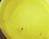 ほうれん草 茹で作り方5写真