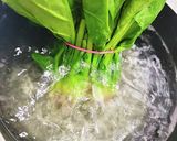 ほうれん草 茹で作り方8写真