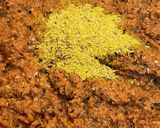 ココナッツミルクで甘めのファイナルカレー作り方11写真