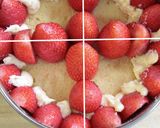 ♡キュートな苺の生チョコ・フレジエ♡作り方42写真