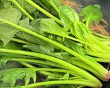 ほうれん草のサラダ作り方3写真