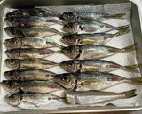 小アジの南蛮漬け～魚の駅生地～作り方2写真