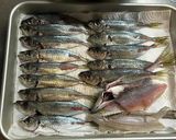 小アジの南蛮漬け～魚の駅生地～作り方6写真