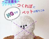 【犬用ケーキ】簡単♡お誕生日や記念日に作り方11写真