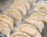 干し野菜たっぷりの焼き餃子の作り方作り方12写真
