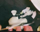簡単新玉ネギのポタージュ作り方1写真