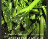 のらぼう菜で海苔ごま和え作り方5写真