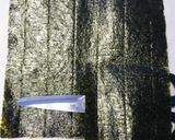逃げる具材救済。稲荷折りたたみおにぎらず作り方5写真