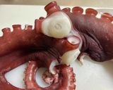 水タコの刺身(ボイル)～魚の駅生地～作り方8写真