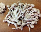 具沢山！キャベツときのこのデミ風味煮込み作り方3写真