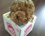 まいたけのシャキシャキ炒め作り方7写真