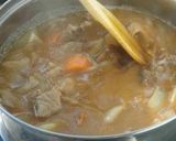 熟成カレー～中辛～作り方9写真