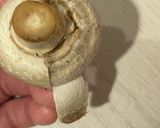 ホタテ稚貝(ベビーホタテ)のアヒージョ作り方2写真