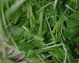厚揚げともやしと豆苗の炒め物作り方6写真
