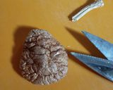 レンジで きのこと焼き海苔のスープ作り方1写真