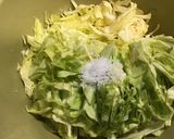 春キャベツのナムル作り方1写真