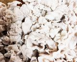今朝の4w1hサンド「豚の梅風味」作り方1写真