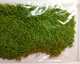 色を残した花山椒の塩漬け　保存法作り方12写真